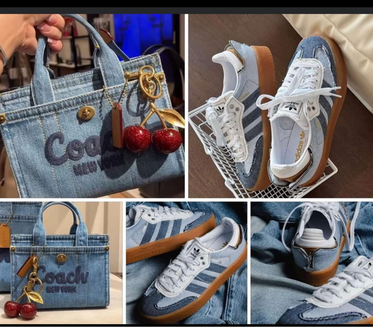 Coach Set
