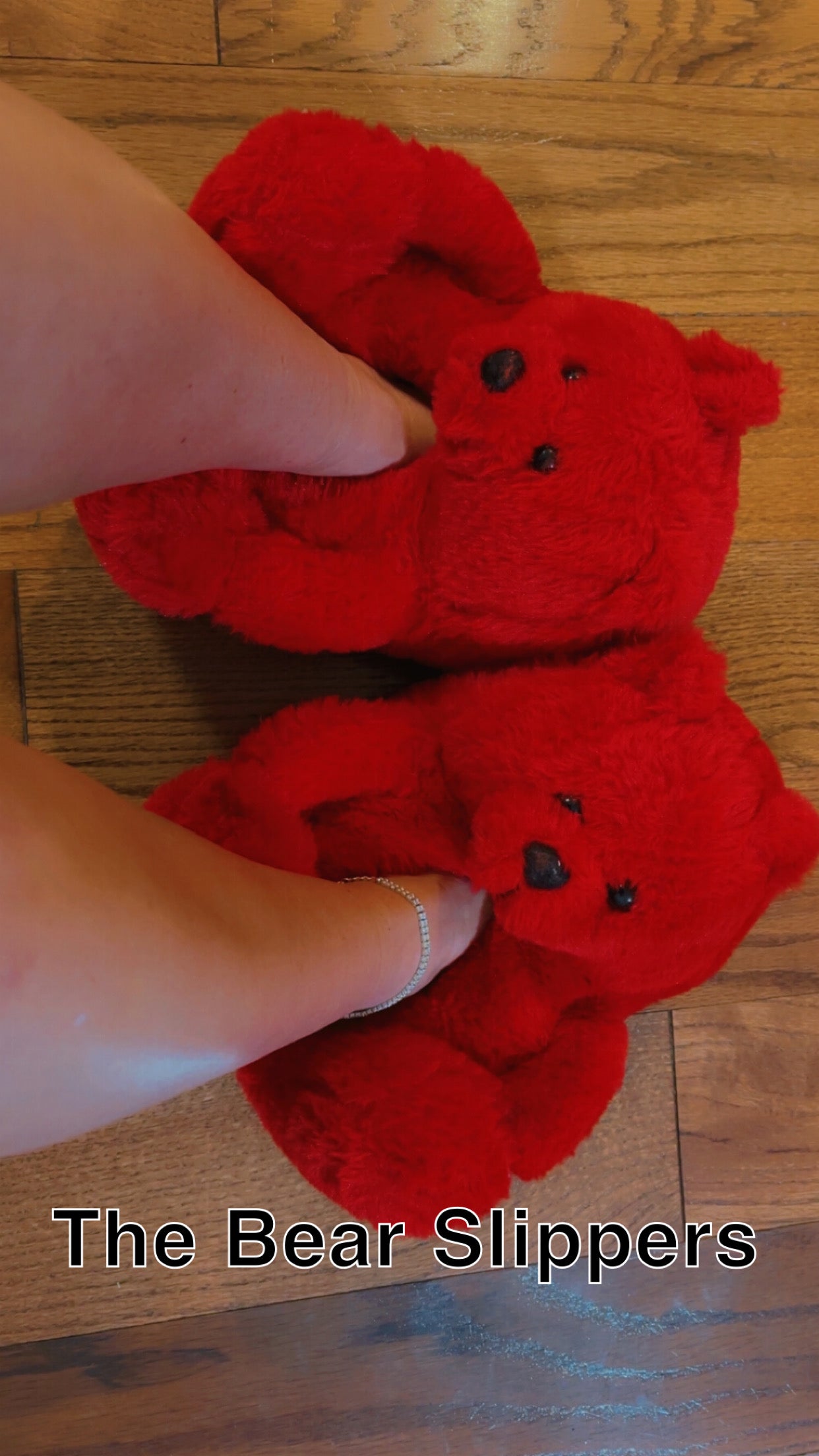 Bear Slippers